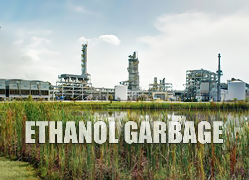Florida ethanol from garbage