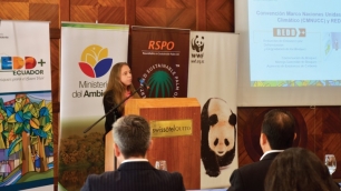 Ecuador hacia la certificación de producción sostenible de palma africana