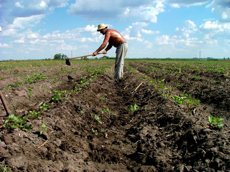 Agricultor en Uruguay