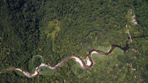 El cambio climático amenaza con transformar los bosques de Brasil en sabanas